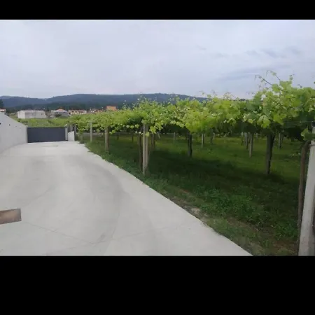 Con Encanto Entre Vinas Semesterbostad Cambados